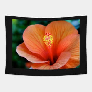 Red Hibiscus Clutch Tapestry