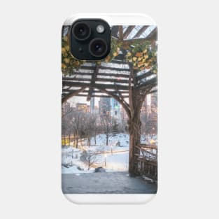 Central Park Winter Phone Case