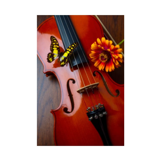 Butterfly And Zinnia On Violin by photogarry