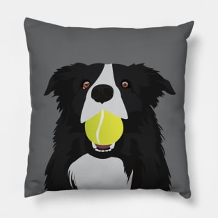 Border Collie with a Tennis Ball Pillow