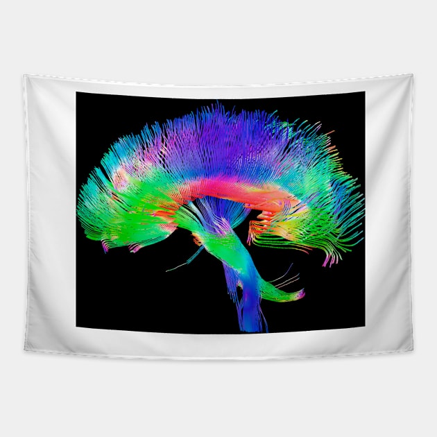 Brain pathways (P335/0069) Tapestry by SciencePhoto