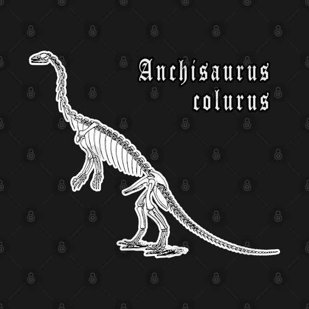 🦖 Fossil Skeleton of Anchisaurus colurus Dinosaur Species by Pixoplanet