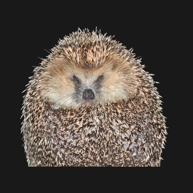 Hedgehog Portrait by Alemi