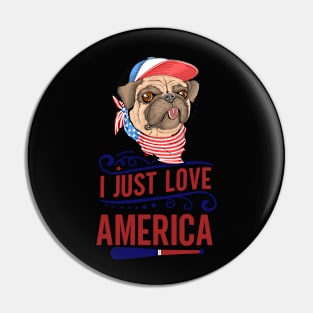 america Pin