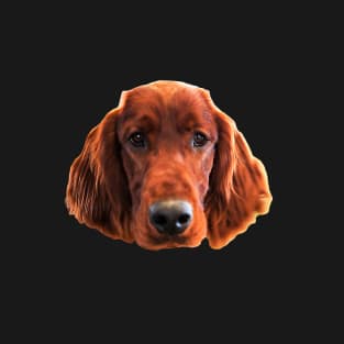 Irish Setter Dog Cute Face T-Shirt