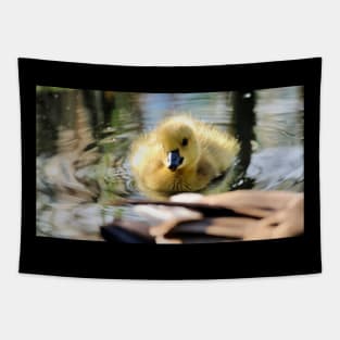 Smiling baby duck Tapestry