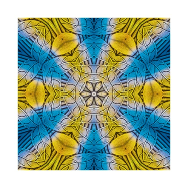 radial yellow gold floral fantasy in square format by mister-john