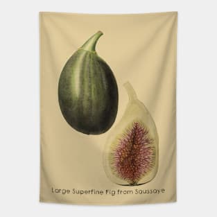 Large Super Fine Fig From Saussaye Tapestry