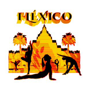 Fléxico T-Shirt