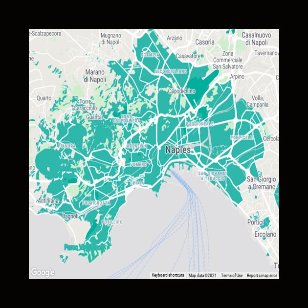 Naples light blue map by Mapmania