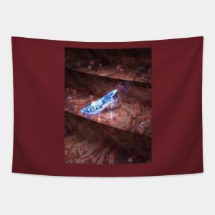 Cinderella's Little Glass Slipper Tapestry