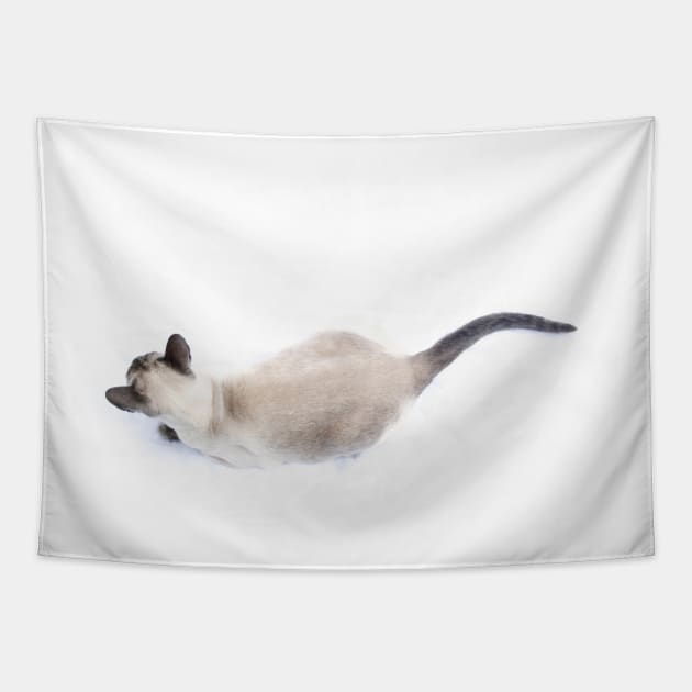 Siamese light Tapestry by micklyn