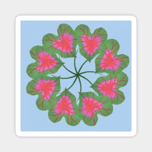 Kaleidoscope Caladium Leaf Magnet