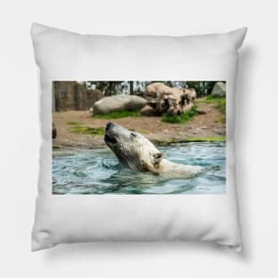 Head of Polar bear above water Pillow