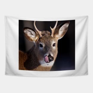 Young Whitetail Buck Tapestry