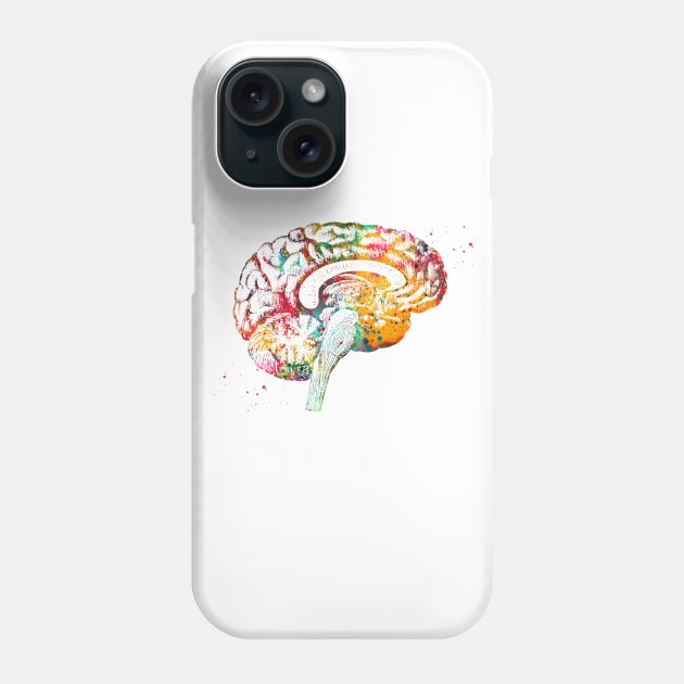 Brain anatomy Phone Case by erzebeth