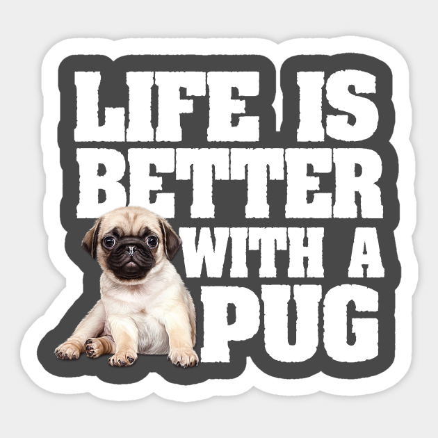 life with a pug