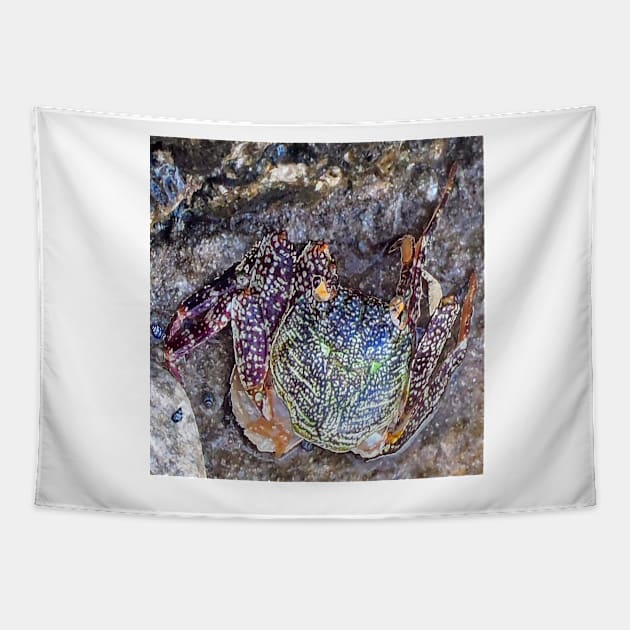 Best fishing gifts for fish lovers 2022. Crab camouflaged against rocks on the beach Tapestry by Artonmytee