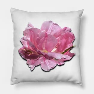 Gorgeous pink peony Pillow