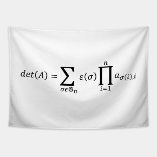 Definition Of The Determinant - Math And Linear Algebra Tapestry