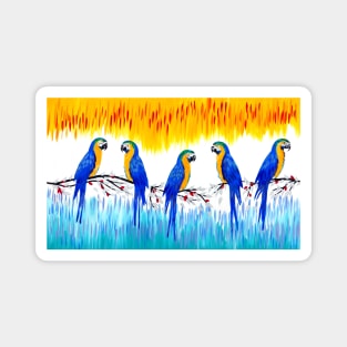 Blue and Yellow Parrots Magnet