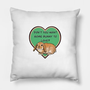 Don’t You Want Some Bunny To Love? Pillow