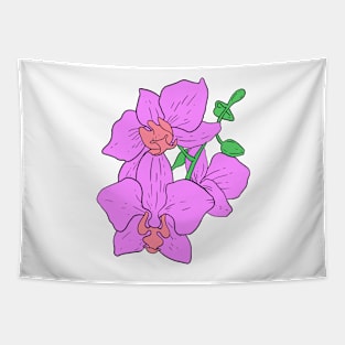 Pink Moth Orchid Hand Drawn Gardening Gift Tapestry