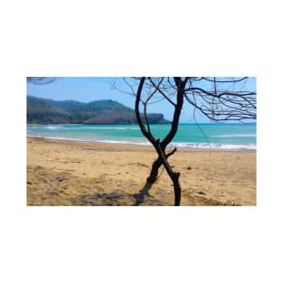 View through two curved pine tree trunks to a sand beach T-Shirt