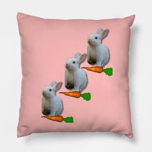 Cute white rabbit Pillow