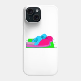 Colorful Slippers Phone Case