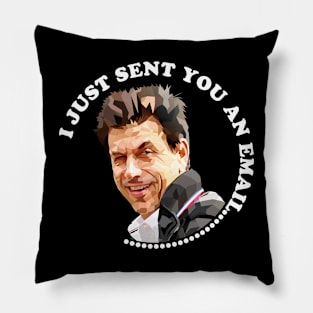 I Just Sent You An Email Pillow