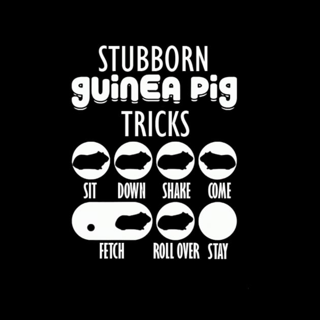 Stubborn Guinea Pig tricks with seven styles by CathyStore
