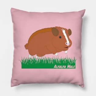 Alfalfa Male Pillow