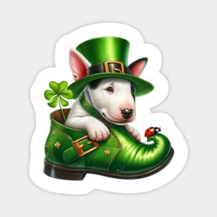 Bull Terrier Dog Shoes For Patricks Day Magnet