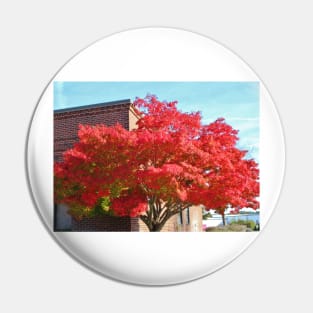 Red Maple Tree Pin