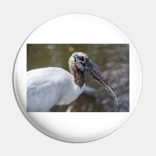 Wood stork 4 Pin