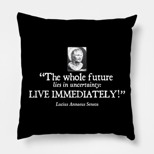 Seneca Stoic quote Pillow by emma17