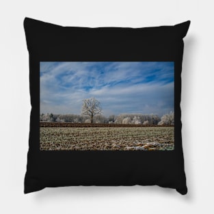 Winter Scene Pillow