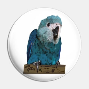 Spix's Macaw Pin