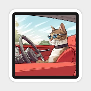 Cat Wearing Glasses Driving A Car Magnet