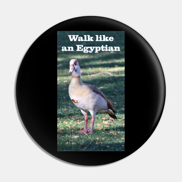 Walk like an Egyptian Goose Pin by Battlefoxx Living Earth