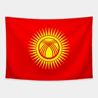 New Flag of Kyrgyzstan Tapestry