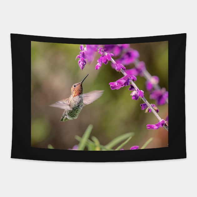 Hummingbird and Flowers Tapestry by JeffreySchwartz