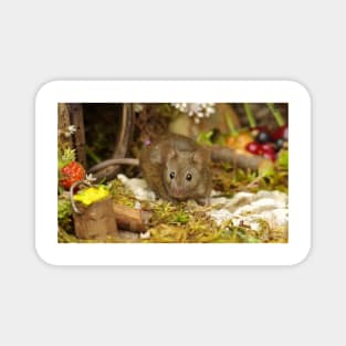 George the mouse in a log pile house Magnet