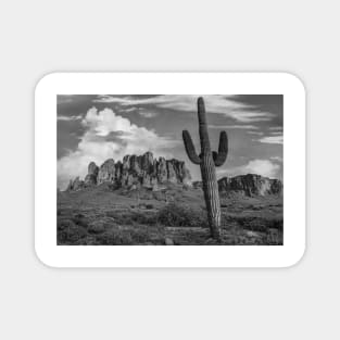 Saguaro Cacti And Superstition Mountains Lost Dutchman State Park Magnet