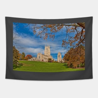 Cathedral. Bryn Athyn, Pennsylvania. Tapestry