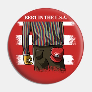 Bert in the USA Pin