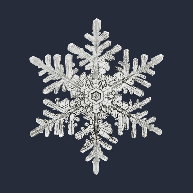 Ice Snowflake by Pacesyte