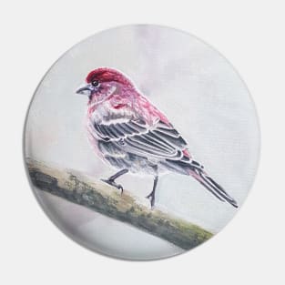 House Finch Bird Painting Pin