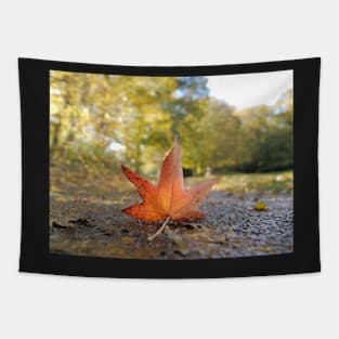 Fallen Autumn leaf Tapestry